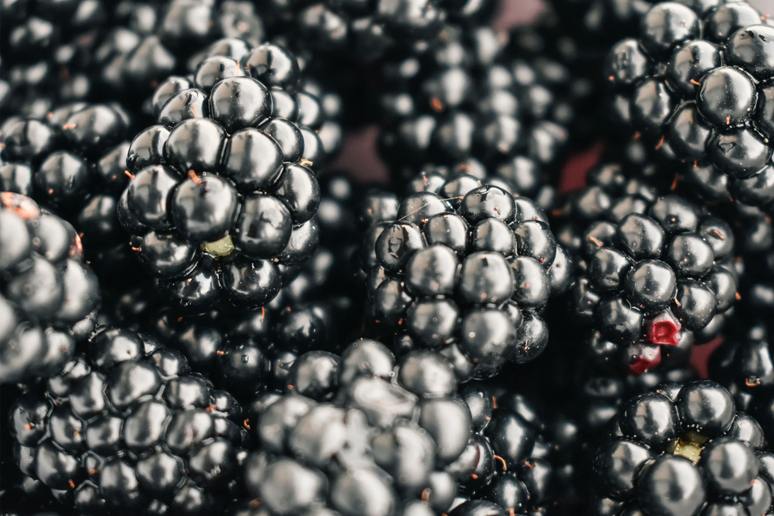 Close-up view of fresh, juicy blackberries showcasing texture and detail. Perfect for food and natur