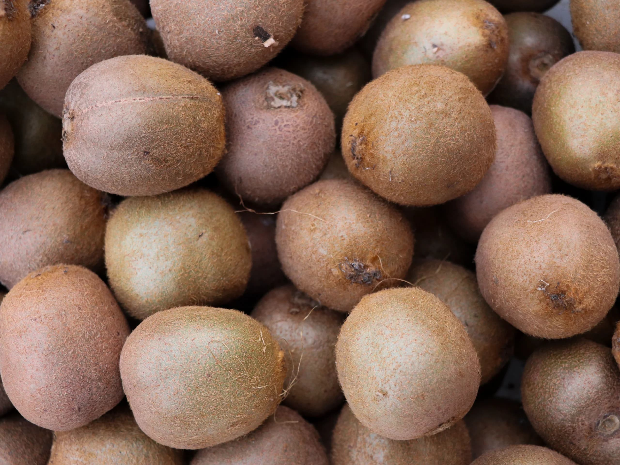 A vibrant assortment of ripe kiwi fruits, showcasing texture and natural color.